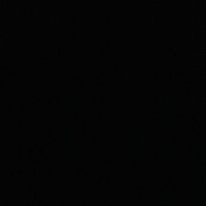 Meet your Posher, Logan